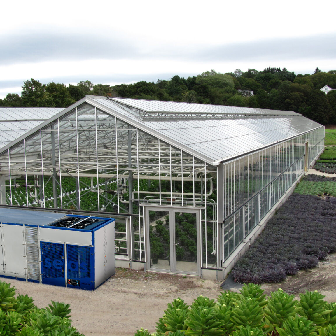 Теплицу круглогодичную под ключ. Теплица ферма. Теплица Greenhouse. Теплицы Венло. Круглогодичная теплица.