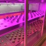 water for agriculture and greenhouses